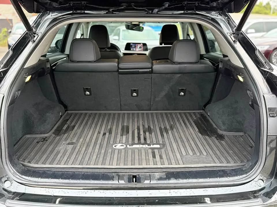 2021 Lexus RX 350 thumbnail 8