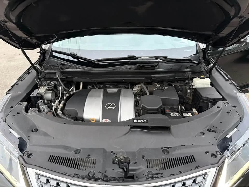 2021 Lexus RX 350 thumbnail 15