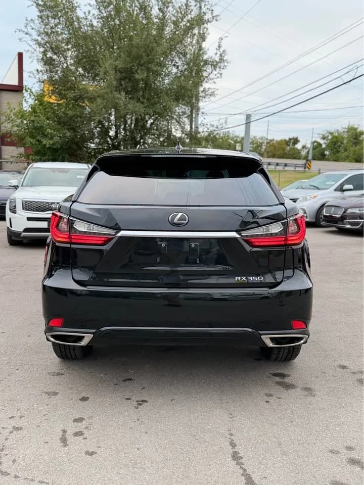 2021 Lexus RX 350 thumbnail 6